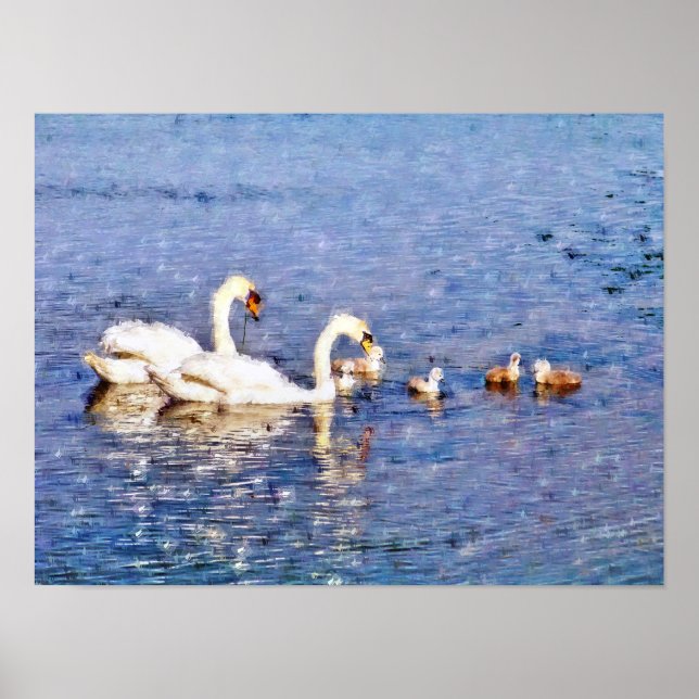 AFFICHES CYGNES (Devant)