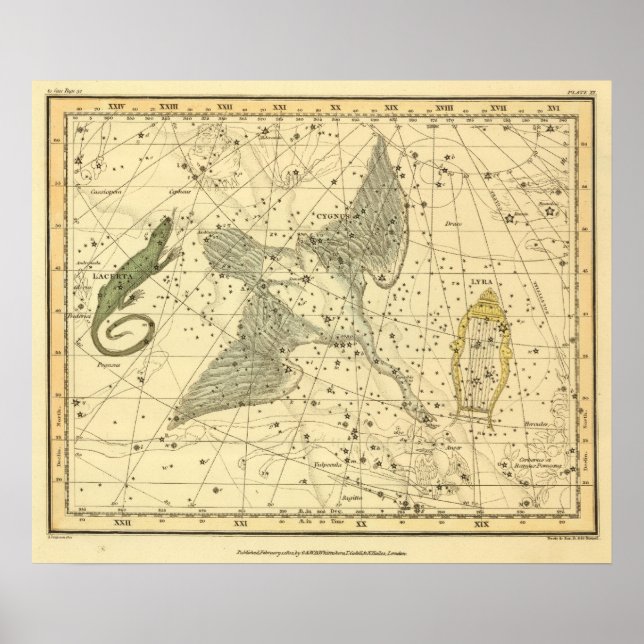 Affiches Cygnus, Laceria et Via Lactea (Devant)