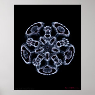 Affiches Cymatics : Note C de musique