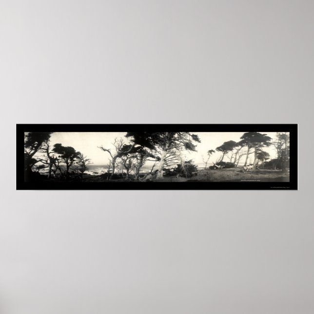 Affiches Cypress Point Monterey Photo 1907 (Devant)