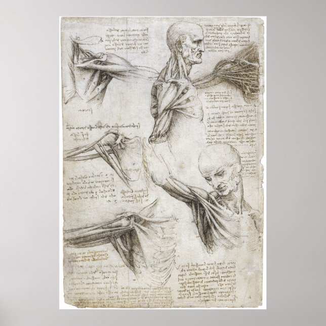 Affiches Da Vinci, Léonard - Étude de l'anatomie (Devant)
