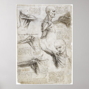 Affiches Da Vinci, Leonardo - étude de l'anatomie