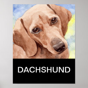 Affiches Dachshund