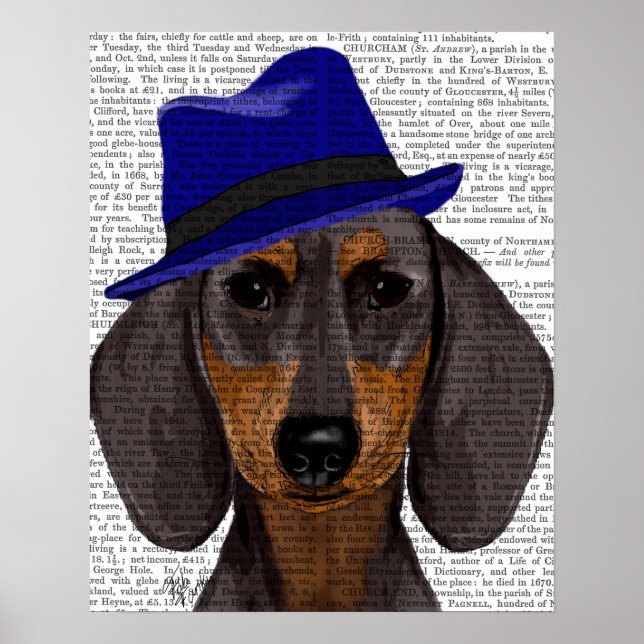 Affiches Dachshund Avec Trilby Bleu (Devant)