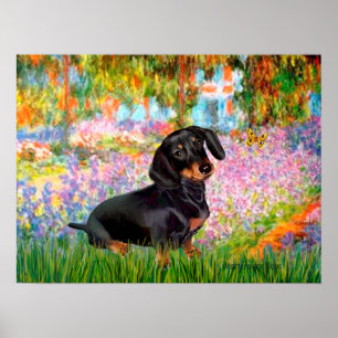 Affiches Dacshund (noir et feu 16) - Jardin