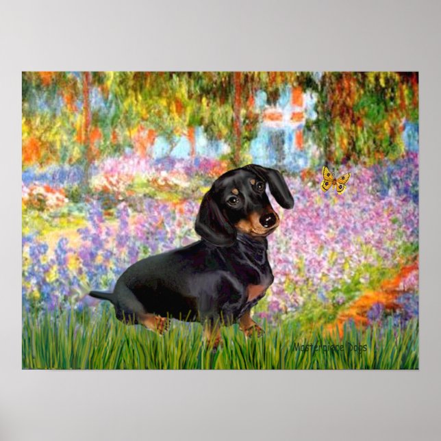 Affiches Dacshund (noir et feu 16) -  Jardin (Devant)