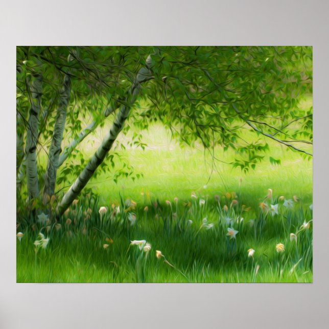 Affiches Daffodiques de printemps (Devant)