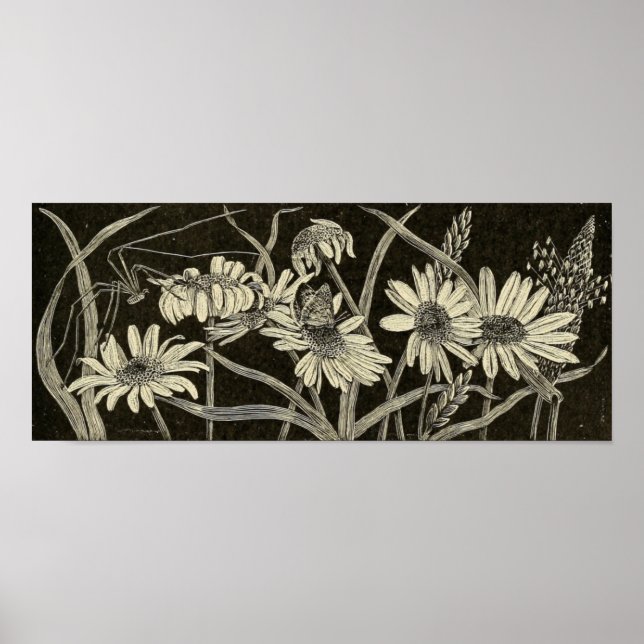 Affiches Daisy (Devant)
