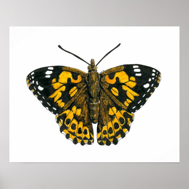 Affiches Dame peintre papillon (Devant)