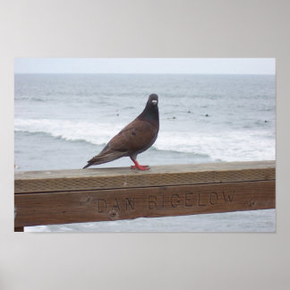 Affiches Dan Bigelow