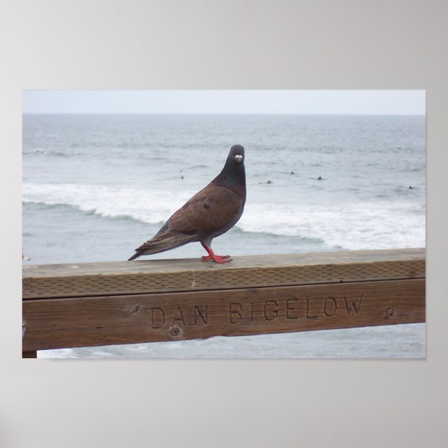 Affiches Dan Bigelow (Devant)