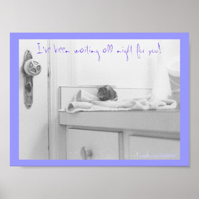 Affiches Dandelion (Devant)