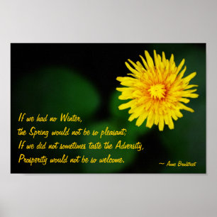Affiches Dandelion Flower with Anne Bradstreet