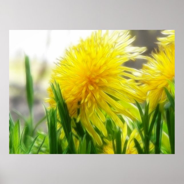 Affiches Dandelion Portrait (Devant)