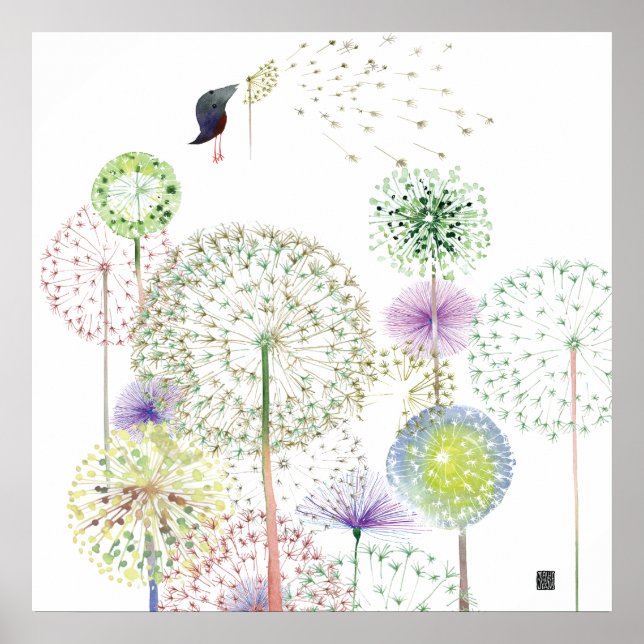 AFFICHES DANDELIONSBIRD (Devant)