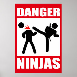 Affiches Danger Ninjas