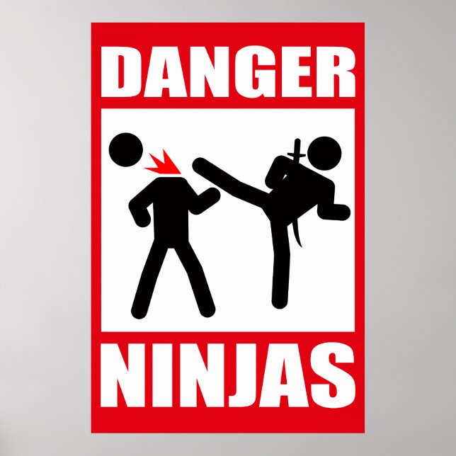Affiches Danger Ninjas (Devant)