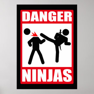 Affiches Danger Ninjas