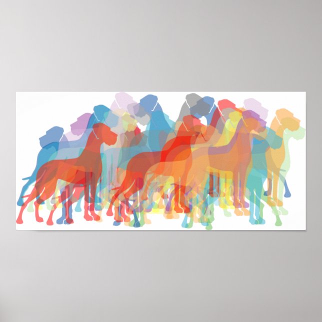 Affiches Danois coloré (Devant)