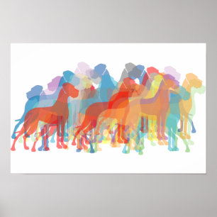 Affiches Danois coloré