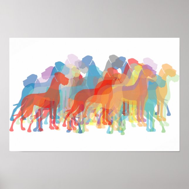 Affiches Danois coloré (Devant)