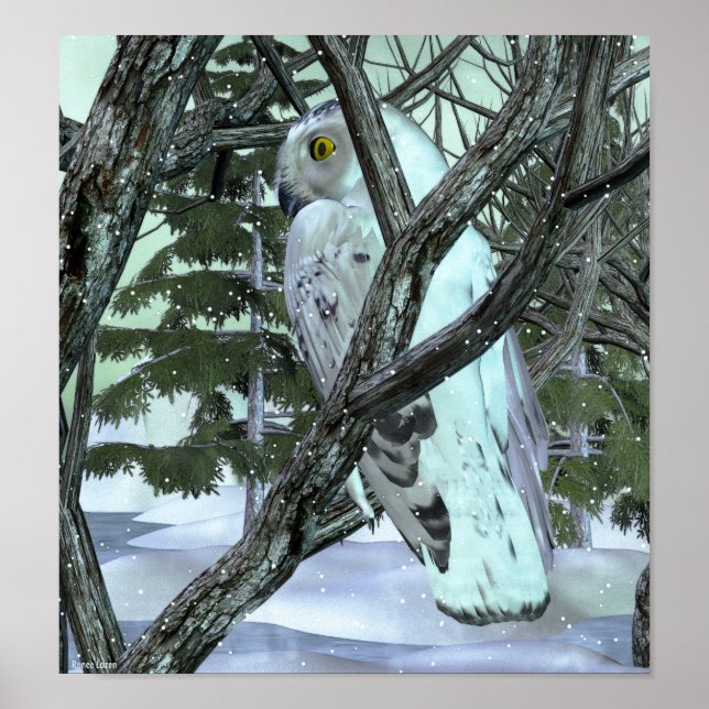 Affiches Dans La Chouette Sauvage (Devant)