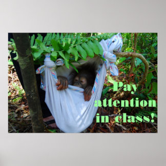 Affiches Dans la forêt pour l'école d'Orangoutan