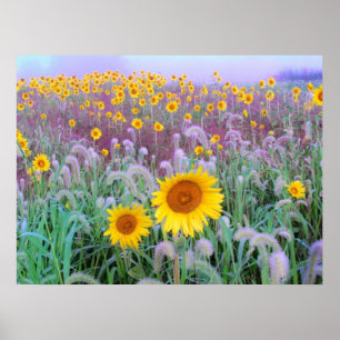 Affiches Dans la matinée, imprimer