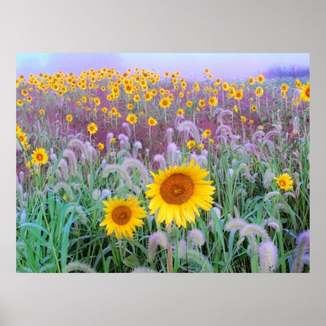 Affiches Dans la matinée, imprimer (Devant)