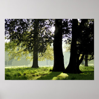 AFFICHES DANS LE PARC