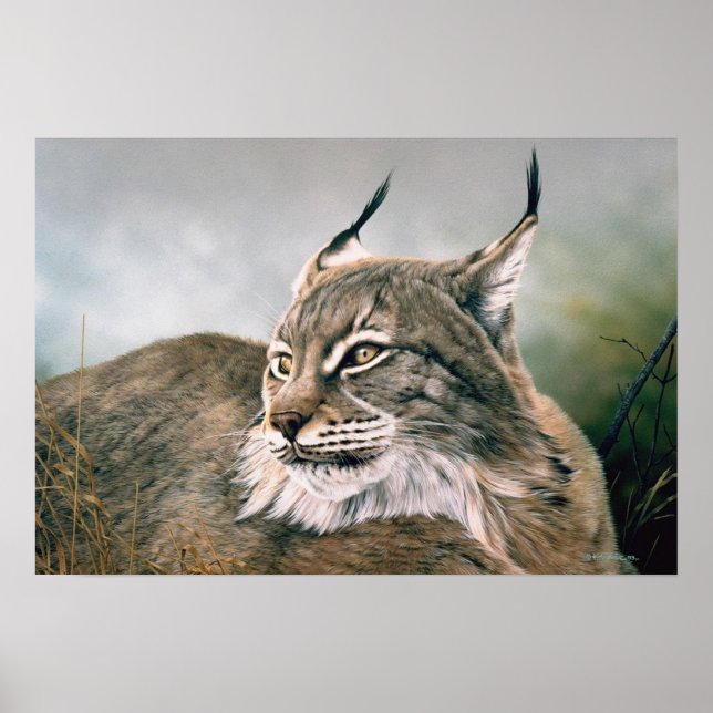 Affiches Dans Le Vent (Devant)