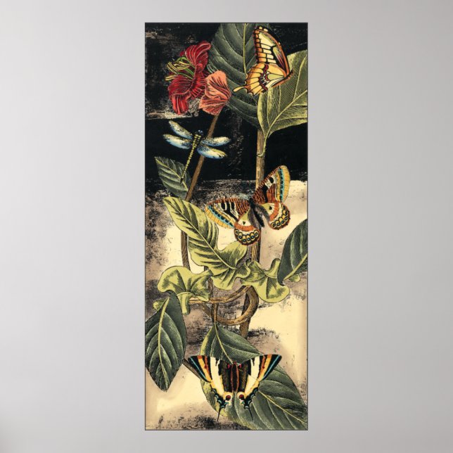 Affiches Dark Nature Scene par Vision Studio (Devant)