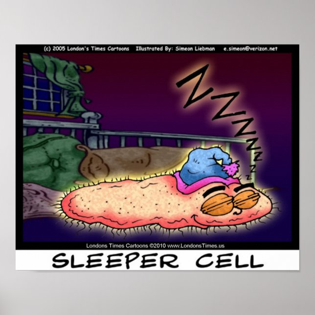Affiches d'art à collectionner drôles de Sleeper C (Devant)