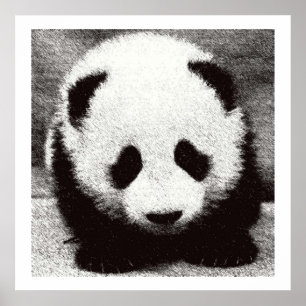 Affiches d'art de bébé panda