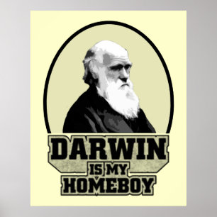 Affiches Darwin Est Mon Enfant