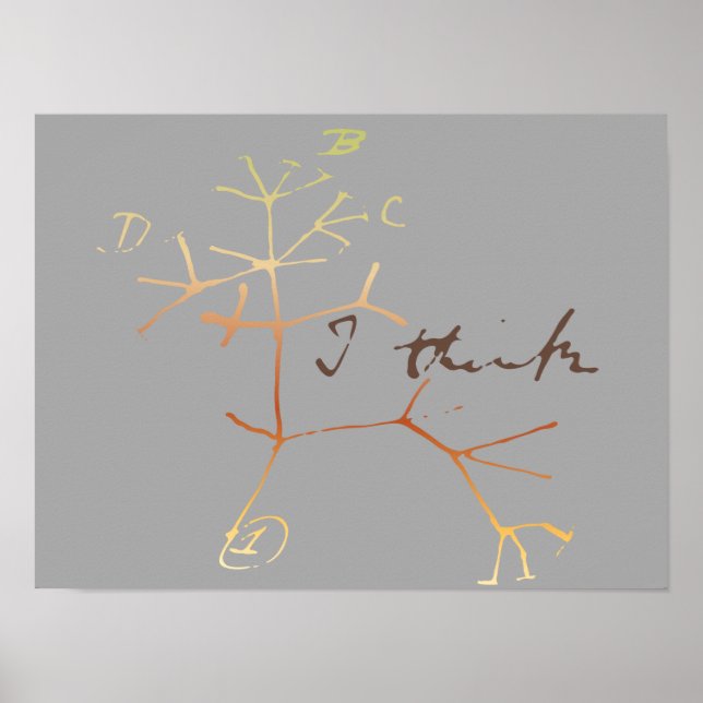 Affiches Darwin, je pense à l'arbre de vie (Devant)