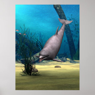 Affiches Dauphin