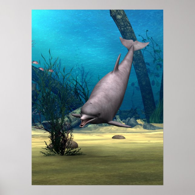 Affiches Dauphin (Devant)