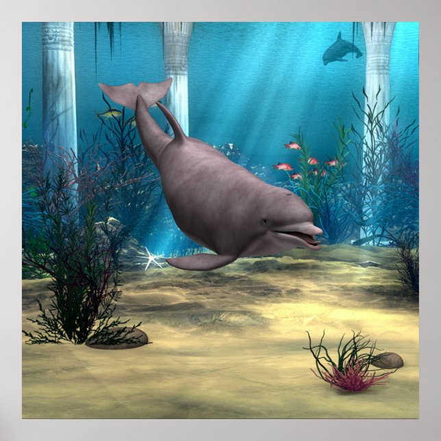 Affiches Dauphin (Devant)