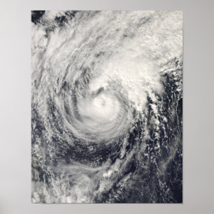 Affiches Dauphin d'ouragan en mer philippine