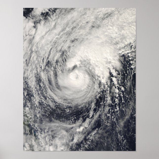 Affiches Dauphin du typhon dans la mer des Philippines (Devant)