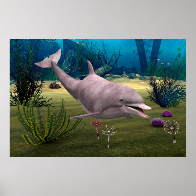 Affiches Dauphin souriant (Devant)