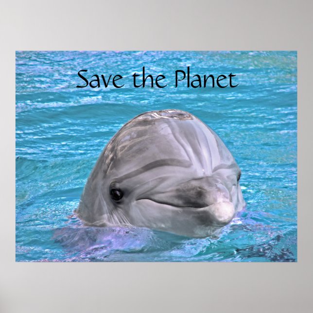 Affiches Dauphin souriant - Sauvez la planète (Devant)