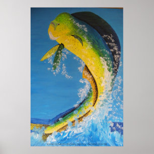 Affiches Dauphin volant