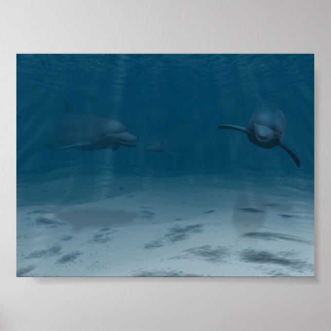 Affiches Dauphins en jeu (Devant)