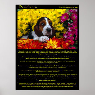 Affiches de Beagle de fleurs de Desiderata