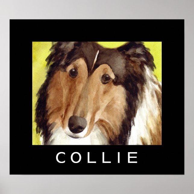 Affiches de chien de colley (Devant)