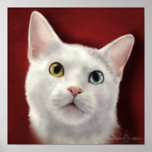 Affiches De dentelle