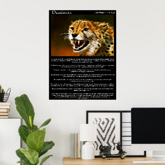 Affiches de Desiderata 13