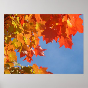 Affiches de feuilles d'automne Ciel bleu art de la